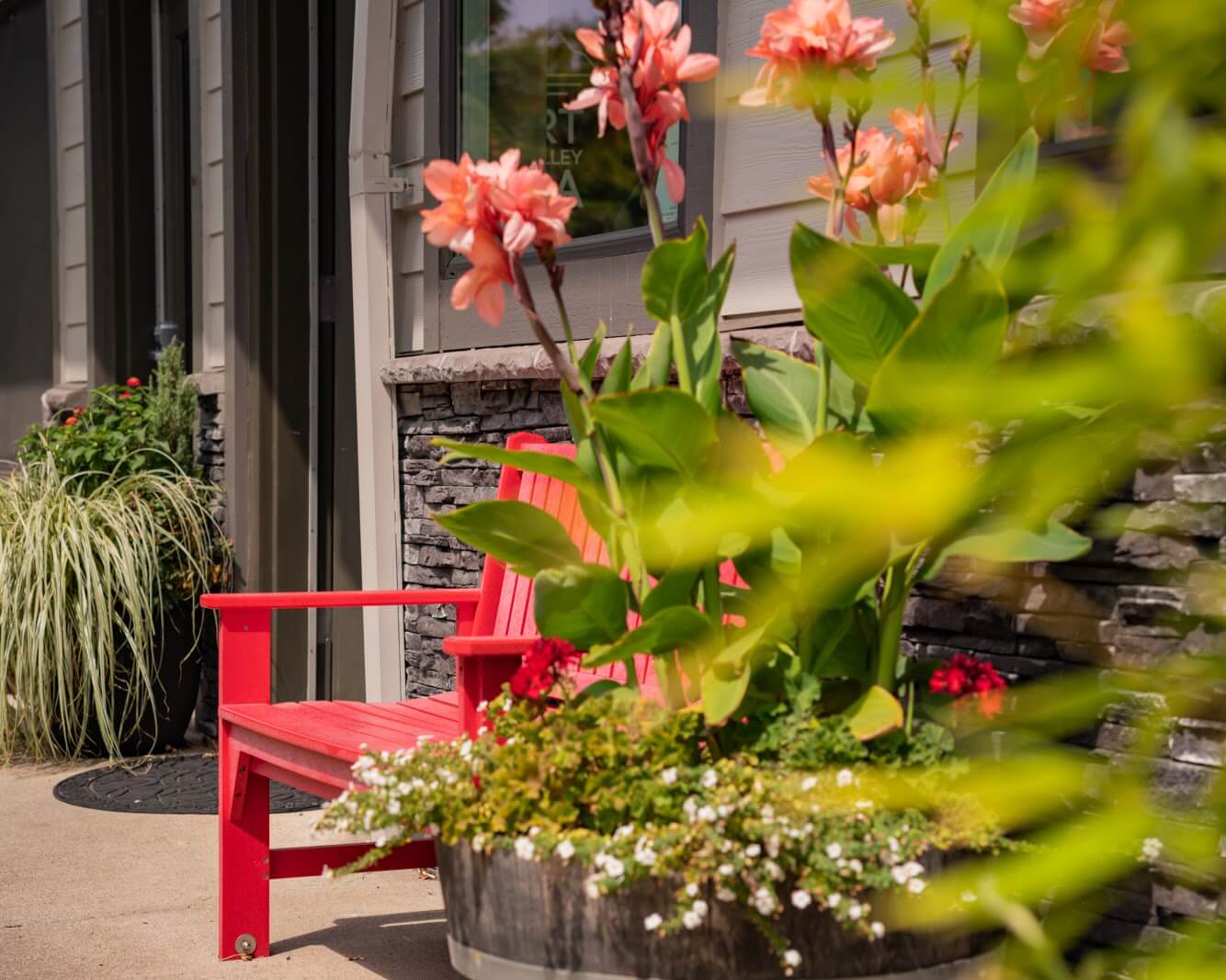 Flowers by the studio bench.